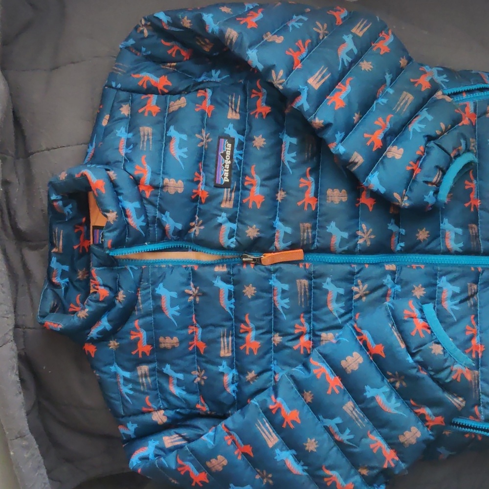 Patagonia Nano Puff 5t